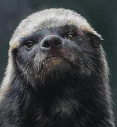 里尔毫不畏惧尼姆，全队备战决心取胜